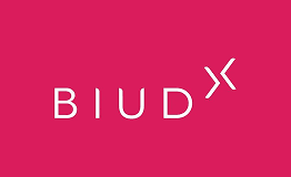BIUD Marketing